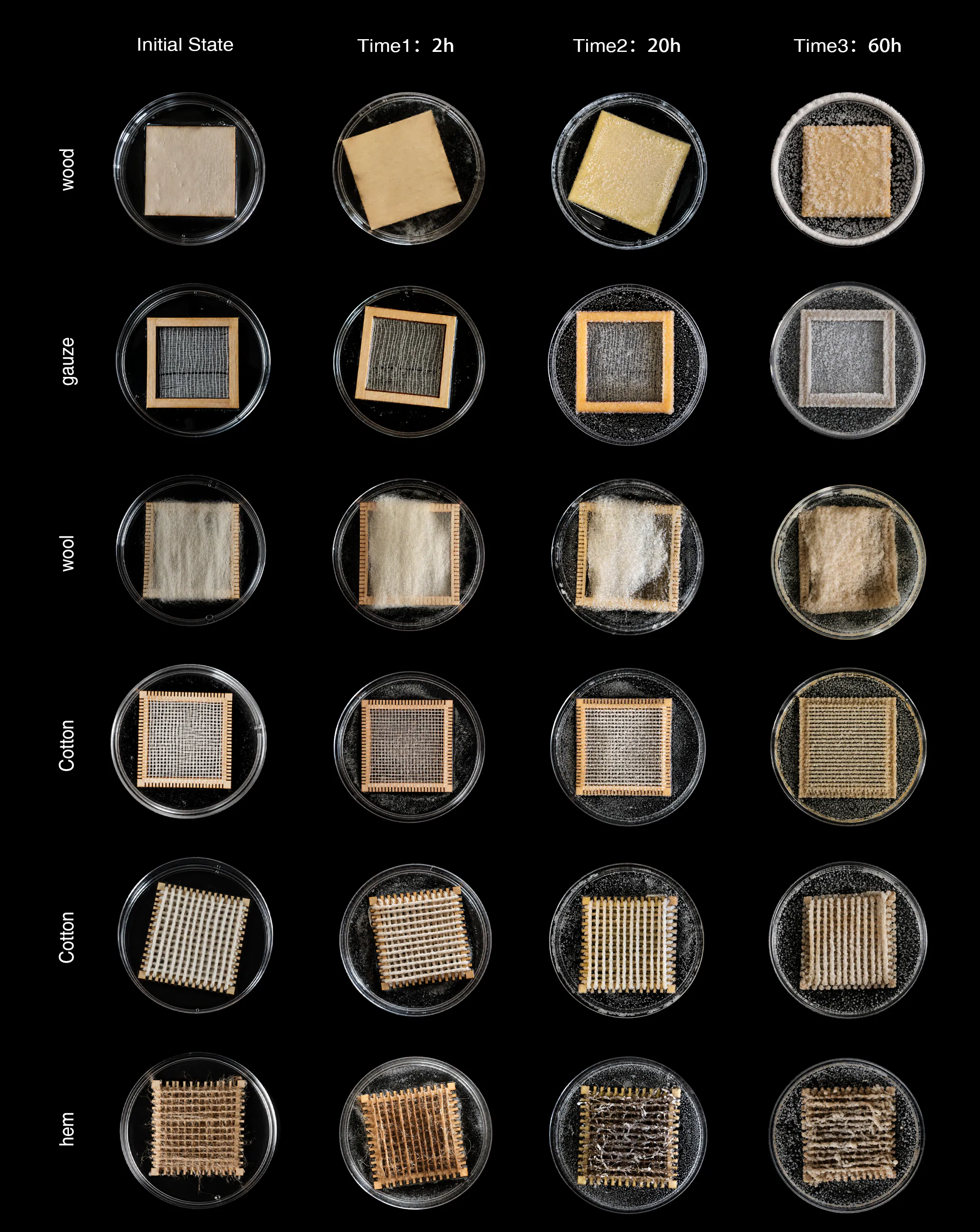 Gauze sample — initial
